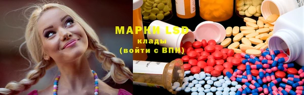 индика Медвежьегорск