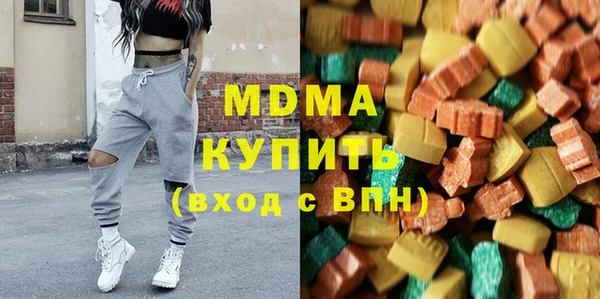 индика Медвежьегорск