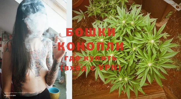 сатива Мегион
