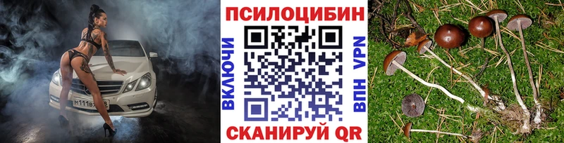 Псилоцибиновые грибы мицелий  Набережные Челны 