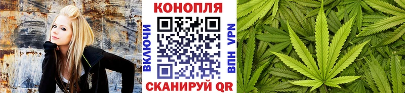 Бошки Шишки Amnesia  Набережные Челны 